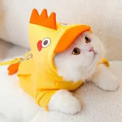 Item thumbnail for item 0b1801cd-db25-4a68-bbc1-b64c5fe4aab8