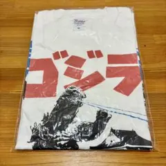 Item thumbnail for item 10fbcdbd-aae4-4985-9251-f0630f2a5657