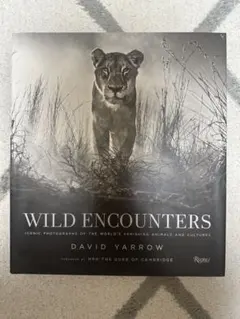 Wild Encounters David Yarrow 写真 洋書 インテリア - メルカリ