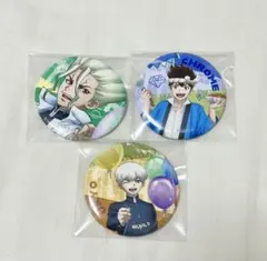 Dr.STONE 石神千空 西園寺羽京 クロム 缶バッジ