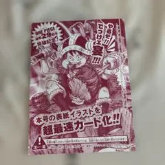 ワンピース 連載29周年記念 付録カード 11枚セット ONE PIECE 連載29周年突破記念 付録カード - メルカリ