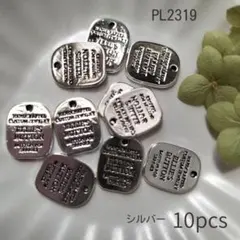 【PL2319】タグプレート メタルタグ 英字 DIY 10個 シルバー