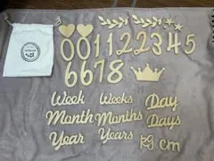 Item thumbnail for item b90048f7-d9bd-4d99-af89-75c7aa41b6df