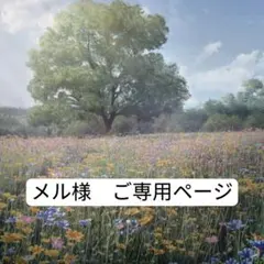 メル様　ご専用