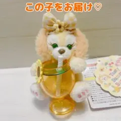 ダッフィー フレンズ テイスティサマー クッキーアン ぬいぐるみストラップ