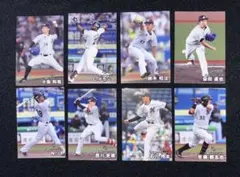 【2025年版】プロ野球チップスカード　千葉ロッテマリーンズ