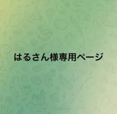はるさん様 リクエスト 2点 まとめ商品