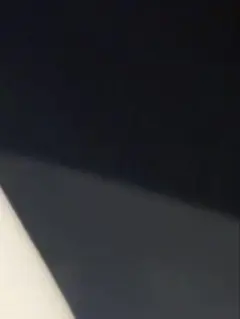 専用出品