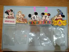 ディズニー　チケットホルダー　パスポートケース　レトロ　10周年