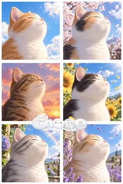 A016 choco パネル生地　6柄