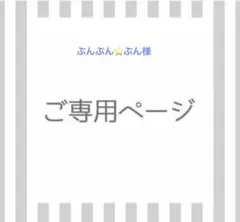 ぶんぶん⭐️ぶん様専用