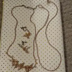 ビーズのネックレス&イヤリング&ブレスレット