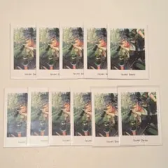 あんさんぶるスターズ あんスタ ぱしゃっつ vol.6 action 瀬名泉