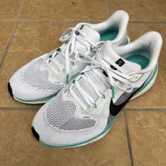 Nike Air Zoom ペガサス41 ランニングシューズ