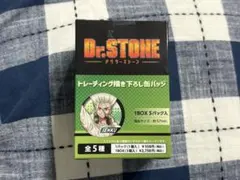 Dr.STONE キャラクター缶バッジ 全5種 ジャンプフェスタ BOX