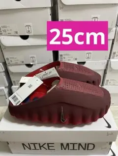Nike Mind 001 Mules 