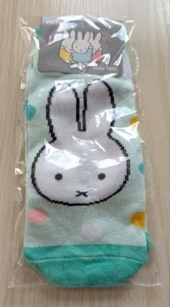 Item thumbnail for item bfe37e1c-877f-4a72-8f6e-de9eed370d79