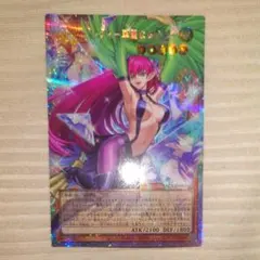 遊戯王　ハーピィレディー華麗なる分身ー オーバーフレーム プリシク