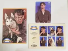 2026年最新】マーゼル セイトの人気アイテム - メルカリ