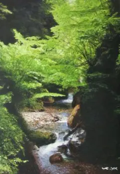 k*a様 風景画◇林道◇新品 美品【水性絵具/アクリル/色鉛筆】◇防水