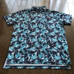 Item thumbnail for item 25537270-a244-4f47-802e-b4d2a9d70500