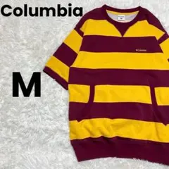 Columbia コロンビア バービューH/Sクルー　ボーダー　Tシャツのサムネイル