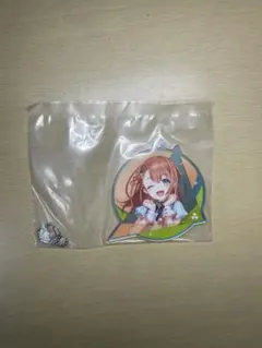 プロセカ セガラッキーくじ vol.7 花里みのり アクリルキーホルダー