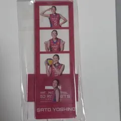 佐藤淑乃 スポーツ選手