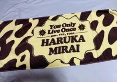 ハルカミライ タオル