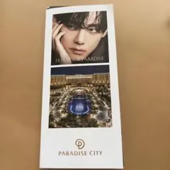 BTS V テテ◾️パラダイスシティリーフレットパンフレット日本語版◾️ボールペン
