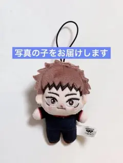 呪術廻戦　5周年　ほわぬい　虎杖悠仁