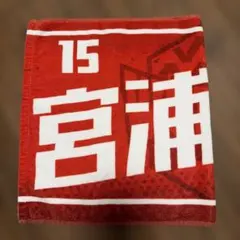 ウルフドッグス名古屋 宮浦健人選手 タオル 15のサムネイル