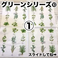 グリーンシリーズ➓ ペーパーナプキン10枚組合せ