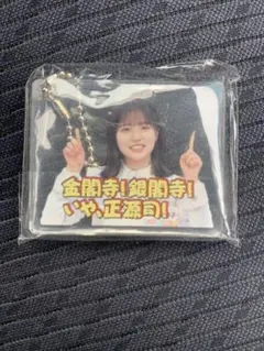 日向坂46正源司陽子　ひなあいガチャ　ツッコミテロップ&名場面ガチャ