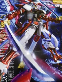 2026年最新】1/100 MG ガンダムアストレイ レッドフレーム改の人気