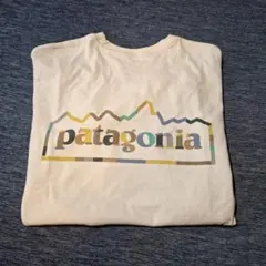 patagonia Responsibili-Tee XS Tシャツ
