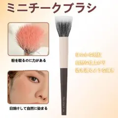 Item thumbnail for item 852c64f9-6f44-46c3-aac9-55306e4cf69c