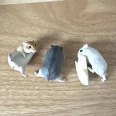 Item thumbnail for item 18137bdd-cac4-47a3-a6a0-75c1f9e138cb