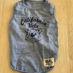 Item thumbnail for item 74837cce-78b0-42a6-a690-c69949c2f7fc