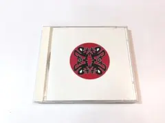 Plastikman / Musik　Richard Hawtin