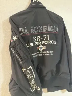 2025年最新】avirex blackbirdの人気アイテム - メルカリ