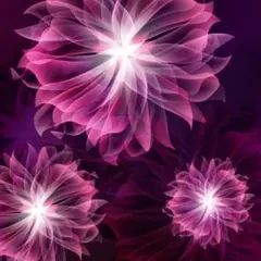 みかんさん様専用