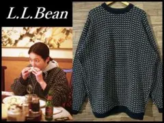 XXL 在原みゆ紀 着用 70s 80s エルエルビーン バーズアイ ニット 紺