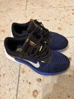 NIKE Winflo 10 ランニングシューズ 26.5cm