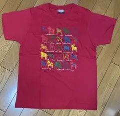 ダーナラホース　Tシャツ　新品 お子様用