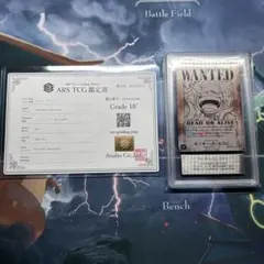 【ARS10+鑑定書付】ルフィ ニカ 手配書 SEC SP