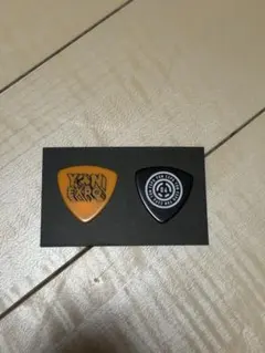 04 Limited sazabys YON EXPO ギターピック 2枚セット