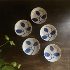 明治　豆皿　どんぐり柄　五枚組　染付