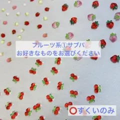 フルーツ系 サブパ ネイルパーツ ネイパ すくい デコ ハンドメイド パーツ