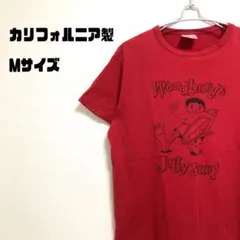 カリフォルニア製　ヴィンテージ　サーフ　Tシャツ　Mサイズ